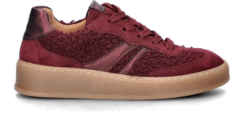 Gabor Sneaker 6018.01.008 Mulberry Teddy Wijdte G - Foto 7