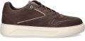 Greve Delft lage sneakers - Donkerbruin
