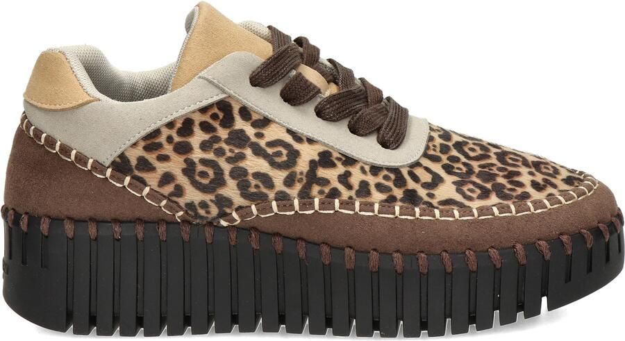 Ilse Jacobsen Tulip sneaker met luipaardprint TULIP4501