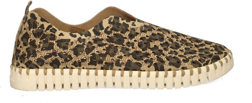 ILSE JACOBSEN Instappers Dames Tulip3275leo Maat: 42 Materiaal: Suèdelook Kleur: Bruin - Foto 3