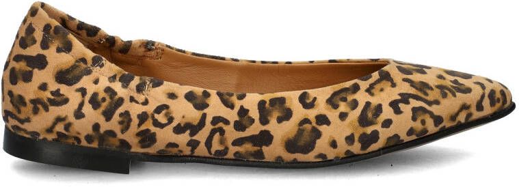 Nelson suède ballerina's met panterprint beige