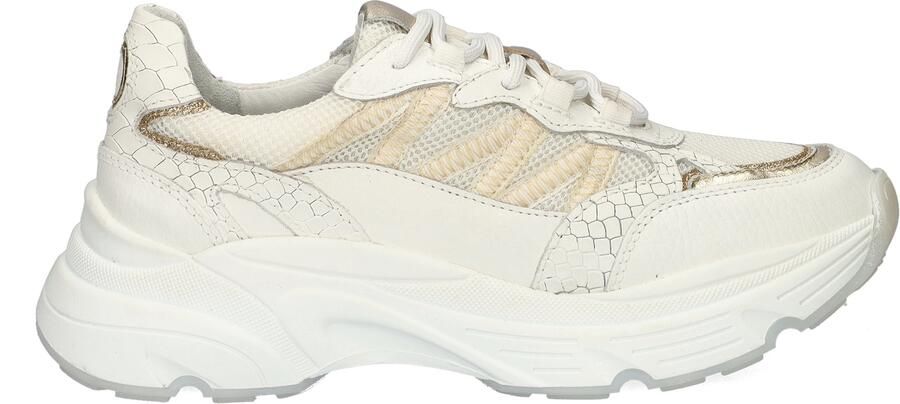 Nelson lage sneakers