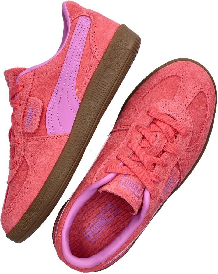 PUMA Palermo Jr Unisex Sneakers Magic Rose-Mauve Pop - Foto 15