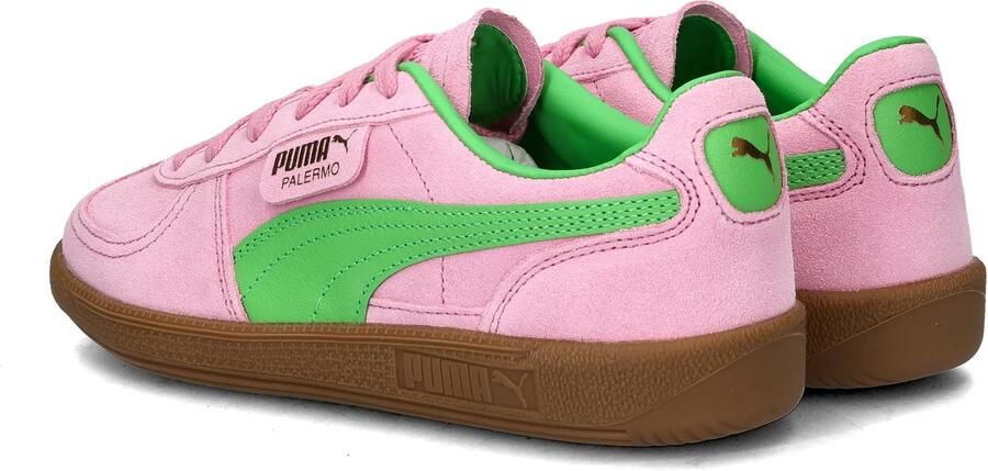 PUMA Palermo W Sneakers Roze Groen Casual schoenen - Foto 6