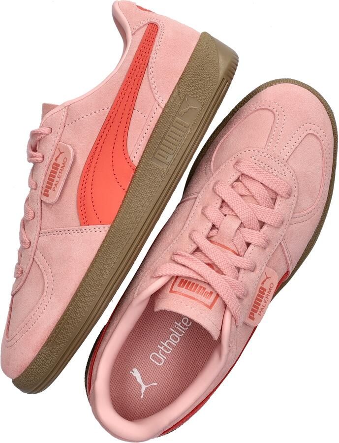 Puma Palermo intense lrosy outlook gum Suede Unisex - Foto 9