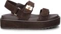 Steve Madden Bigmona suède sandalen donkerbruin - Donkerbruin