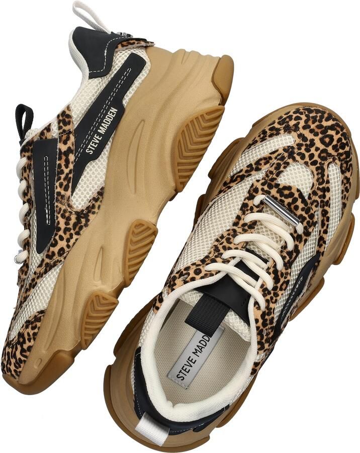 STEVE MADDEN PossessionL-E Leopard Beige Mesh Lage sneakers Dames - Foto 3