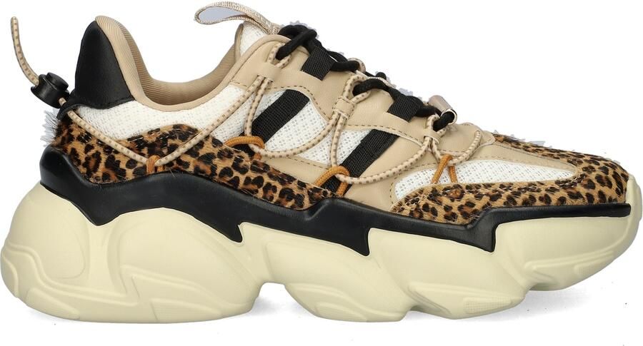 Steve Madden Low-Top Sneakers Dames Sneaker in bruin