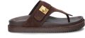 Steve Madden Tuned-In slippers - Bruin