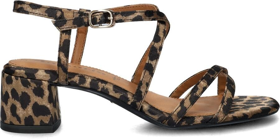 Tamaris pumps