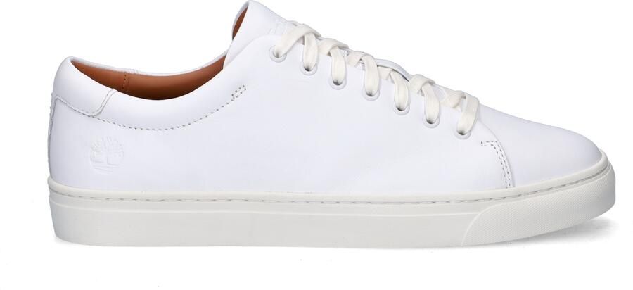 Timberland Dover Park Low Schoenen Wit Man - Foto 2