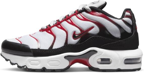 Nike Air Max Plus Kleuterschoenen Grijs