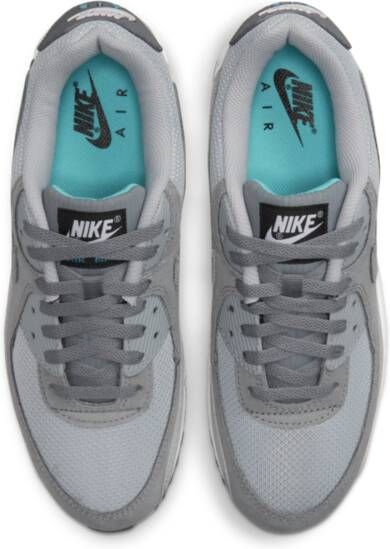 Nike Air Max 90 Herenschoenen Grijs