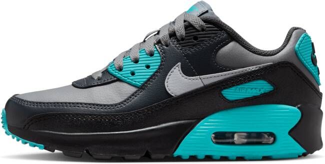 Nike Air Max 90 LTR Kinderschoenen Grijs