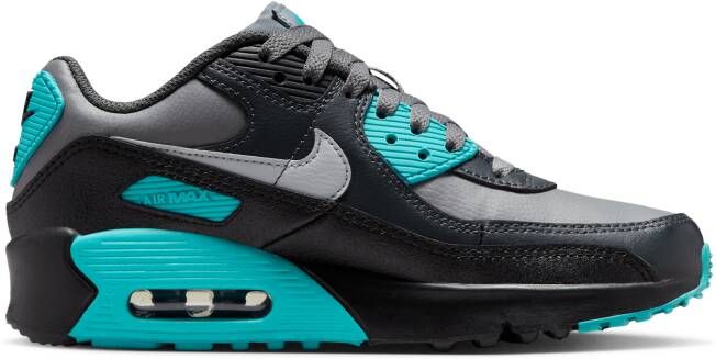 Nike Air Max 90 LTR Kinderschoenen Grijs