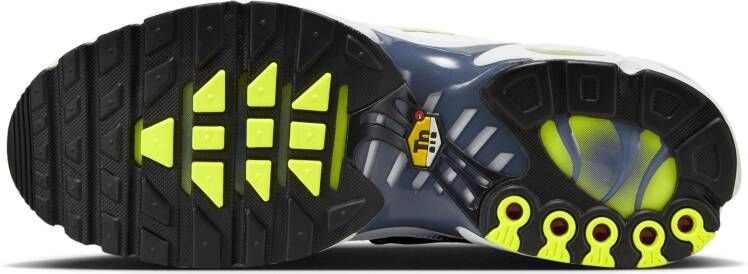 Nike Air Max Plus herenschoenen Grijs