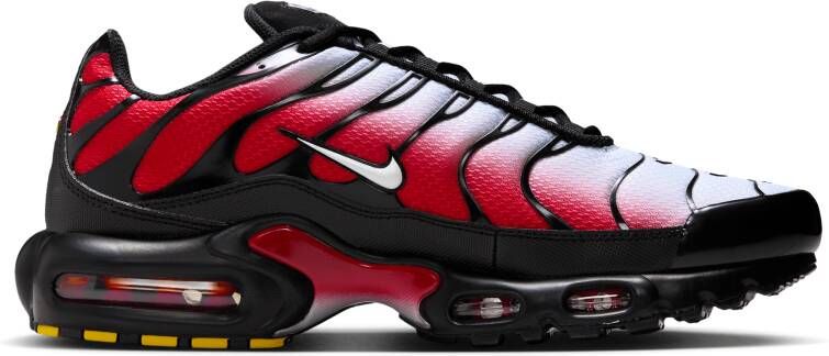 Nike Air Max Plus herenschoenen Grijs