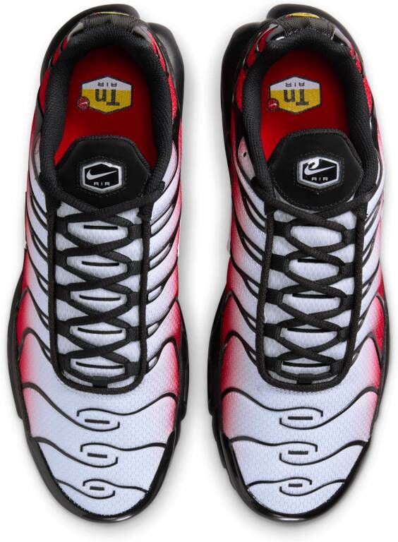 Nike Air Max Plus herenschoenen Grijs