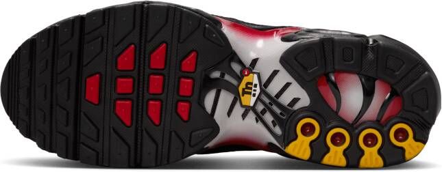 Nike Air Max Plus Kinderschoenen Grijs