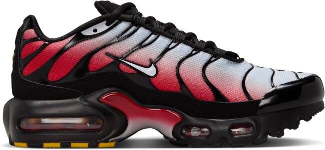 Nike Air Max Plus Kinderschoenen Grijs