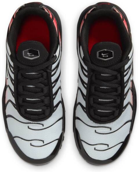 Nike Air Max Plus kleuterschoenen Grijs