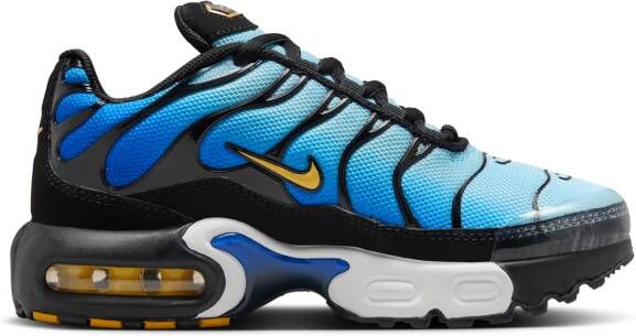 Nike Air Max Plus kleuterschoenen Zwart