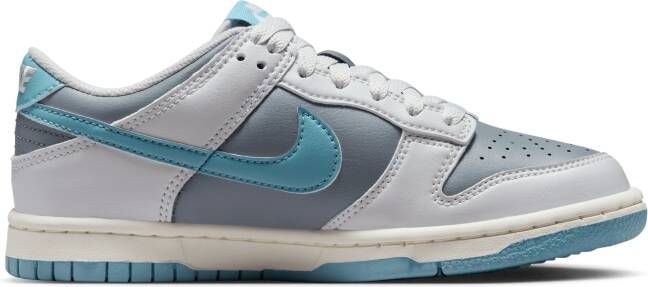 Nike Dunk Low Kinderschoenen Grijs