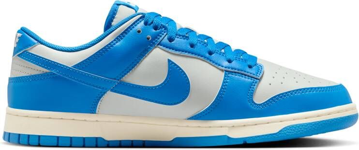 Nike Dunk Low Retro herenschoenen Grijs
