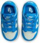 Nike Dunk Unisex Schoenen Grijs Maat: 23.5 Mesh Synthetisch Foot Locker - Thumbnail 5