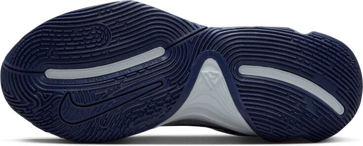 Nike Giannis Immortality 4 basketbalschoenen Grijs