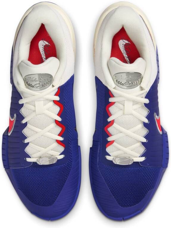 Nike GP Challenge Pro Premium hardcourt tennisschoenen voor heren Paars