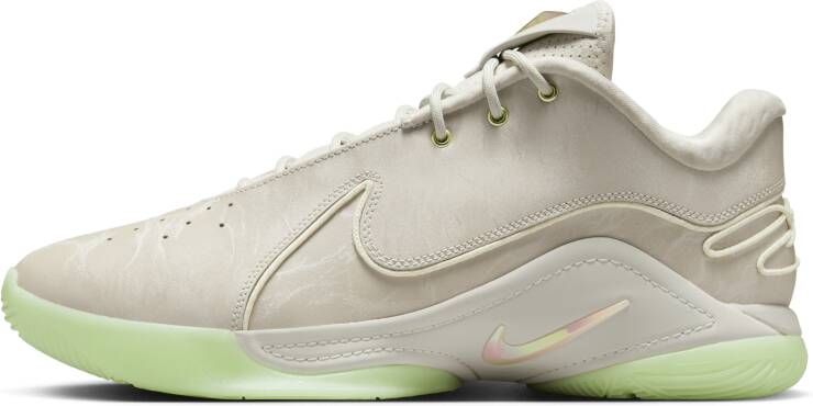 Nike LeBron XXII basketbalschoenen Grijs