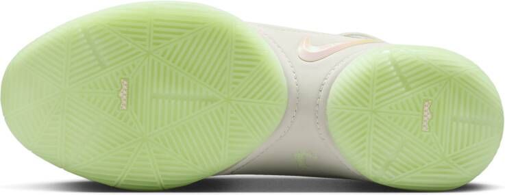 Nike LeBron XXII basketbalschoenen Grijs