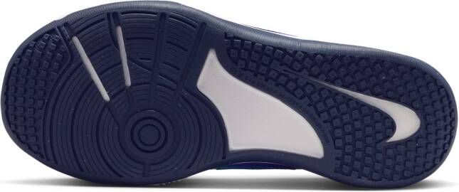 Nike Omni Multi-Court Zaalschoenen voor kids Paars