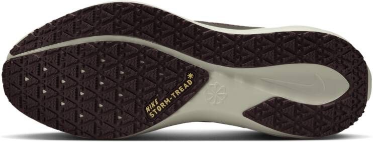Nike Pegasus 41 GORE-TEX waterdichte hardloopschoenen voor heren (straat) Grijs