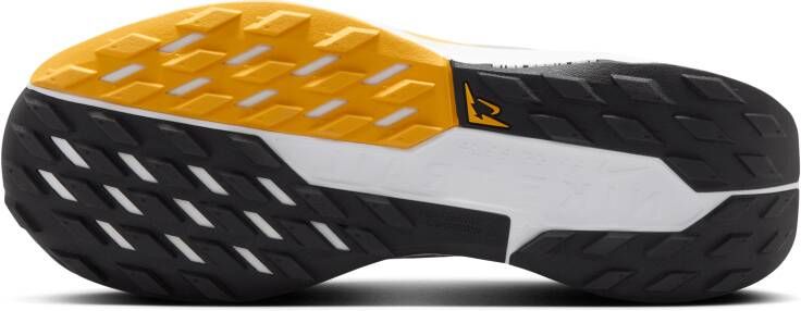 Nike Pegasus Trail 5 GORE-TEX waterdichte trailrunningschoenen voor dames Grijs