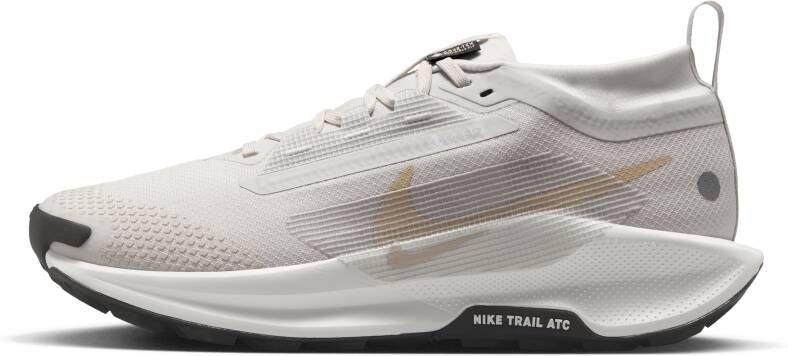 Nike Pegasus Trail 5 GORE-TEX waterdichte trailrunningschoenen voor dames Grijs