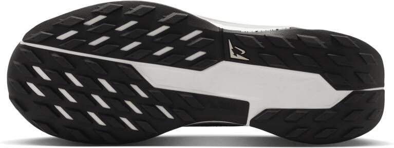 Nike Pegasus Trail 5 GORE-TEX waterdichte trailrunningschoenen voor dames Grijs