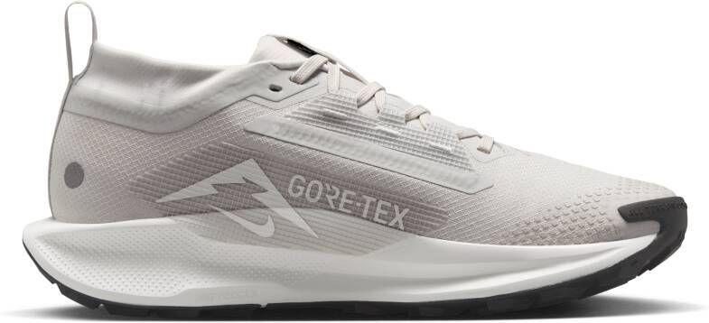Nike Pegasus Trail 5 GORE-TEX waterdichte trailrunningschoenen voor dames Grijs
