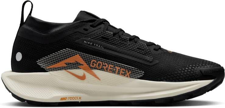 Nike Pegasus Trail 5 GORE-TEX waterdichte trailrunningschoenen voor dames Zwart