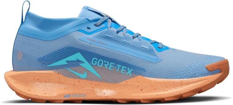Nike Pegasus Trail 5 GORE-TEX waterdichte trailrunningschoenen voor heren Blauw
