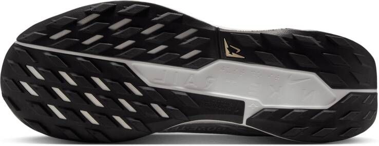 Nike Pegasus Trail 5 GORE-TEX waterdichte trailrunningschoenen voor heren Grijs