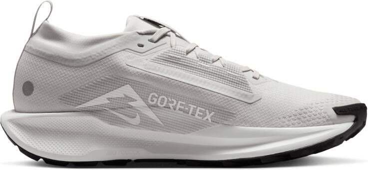 Nike Pegasus Trail 5 GORE-TEX waterdichte trailrunningschoenen voor heren Grijs