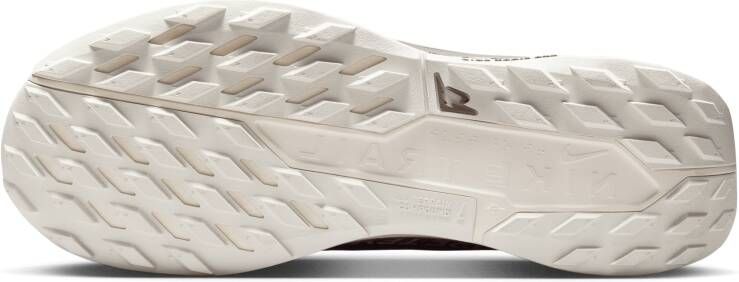 Nike Pegasus Trail 5 GORE-TEX SP waterdichte trailrunningschoenen voor heren Bruin