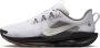 Nike Pegasus Trail 5 trailrunningschoenen voor heren Grijs - Thumbnail 1
