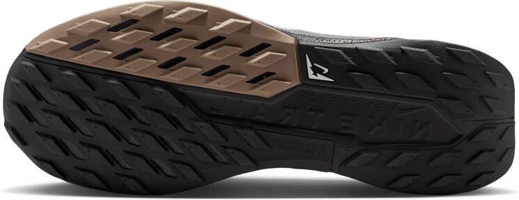 Nike Pegasus Trail 5 trailrunningschoenen voor heren Grijs