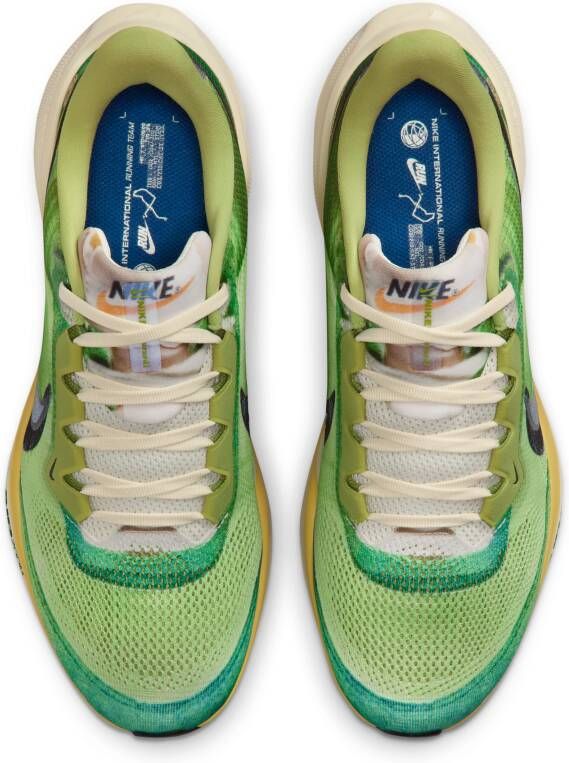 Nike Pegasus 41 SE hardloopschoenen voor heren (straat) Meerkleurig