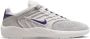 Nike SB Vertebrae herenschoenen Grijs - Thumbnail 3