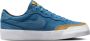 Nike SB Zoom Pogo Plus Premium Skateschoenen Blauw - Thumbnail 4