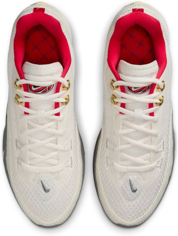 Nike Street Flare basketbalschoenen Bruin